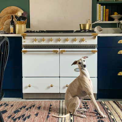 lacanche stove in kitchen with dog sitting infront