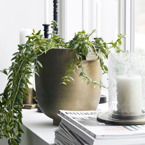 how to make the most of a small room - foem planter beside a window