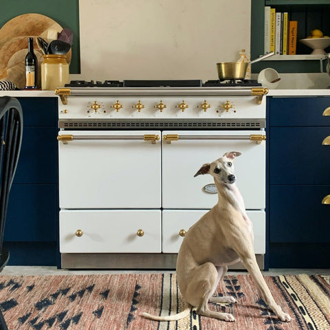 White lacanche in kitchen with dog
