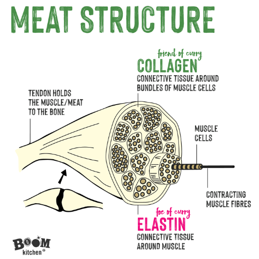 Structure of meat and muscle fibres for mastering curry cooking