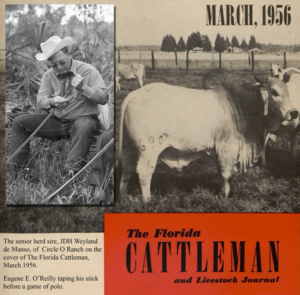 Eugene O’Reilly Florida Cattle man and Livestock Journal 1956