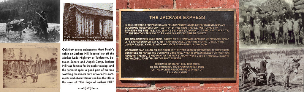 Jackasses in prospecting, Mark Twain's Jackass Hill Cabin, Jackass Express