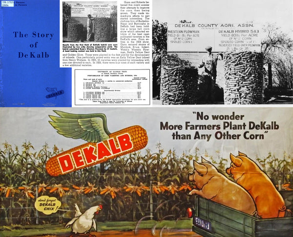 The Story of DeKalb with pics of De Kalb County Agri Assn and vintage advertisement