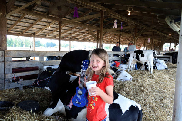 O'Nina BL at the County Fair