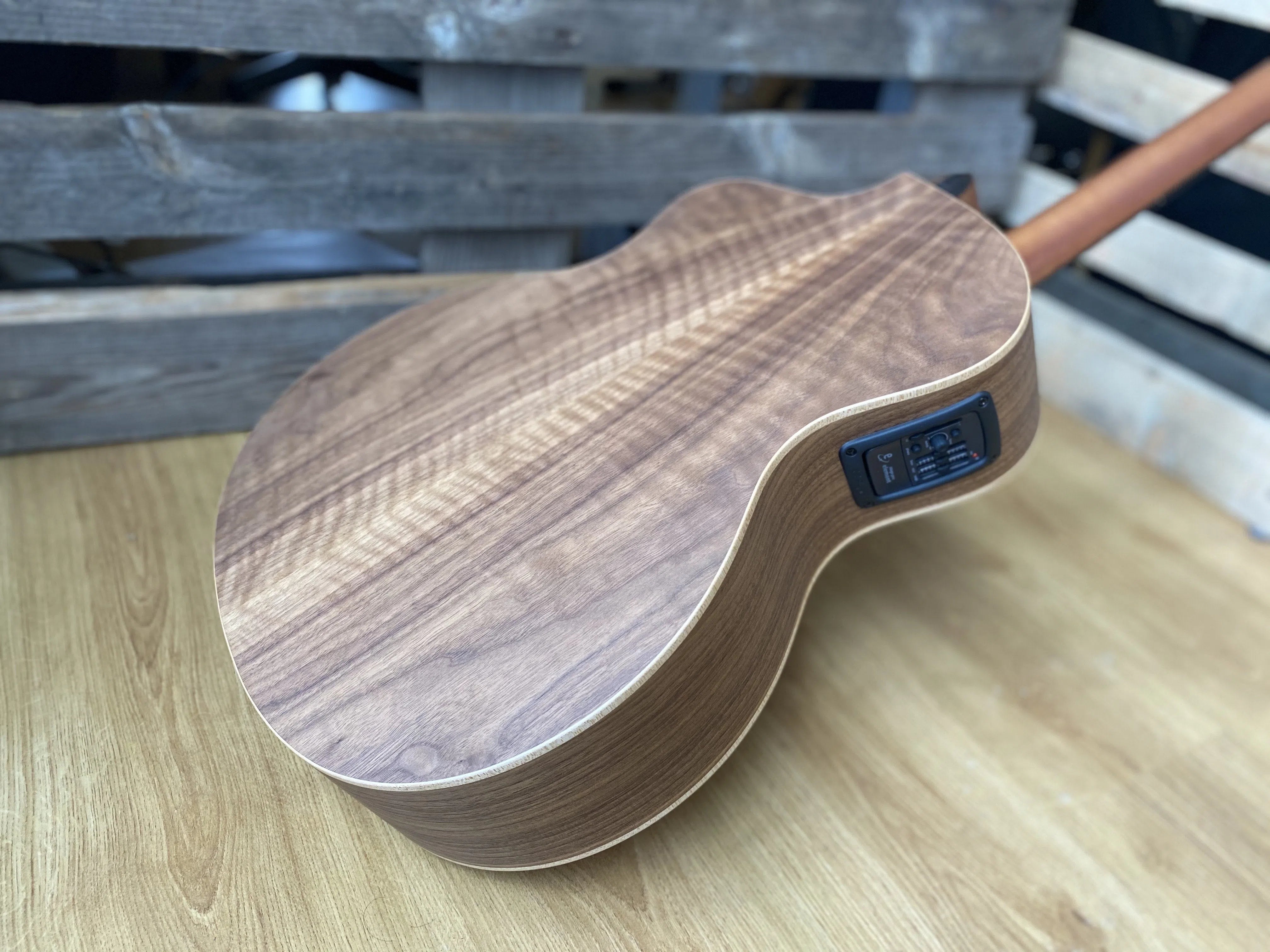 Dowina Walnut (Sol) GACE, Acoustic Guitar for sale at Richards Guitars.