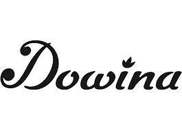 Dowina Guitars