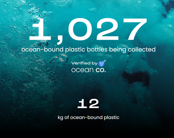 Ocean Co - Cleaning up our oceans.  With Richards guitars - your eco friendly guitar shop!