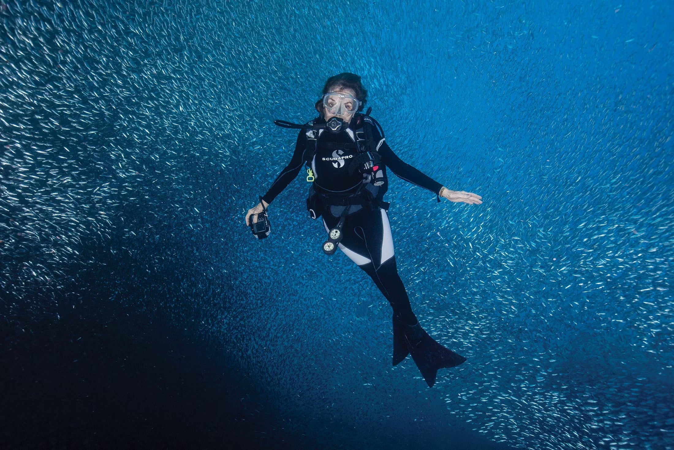 Sylvia Earle Diving in Gold Rolex Datejust
