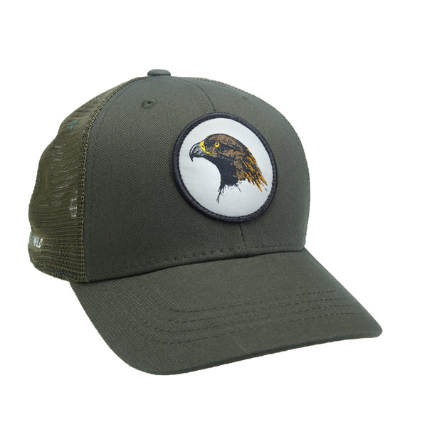 Golden Eagle Hat