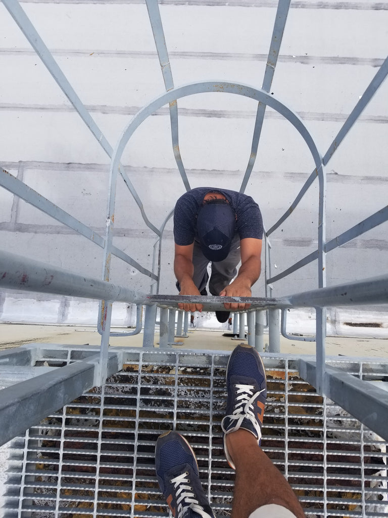 bees climbing down a ladder to extract