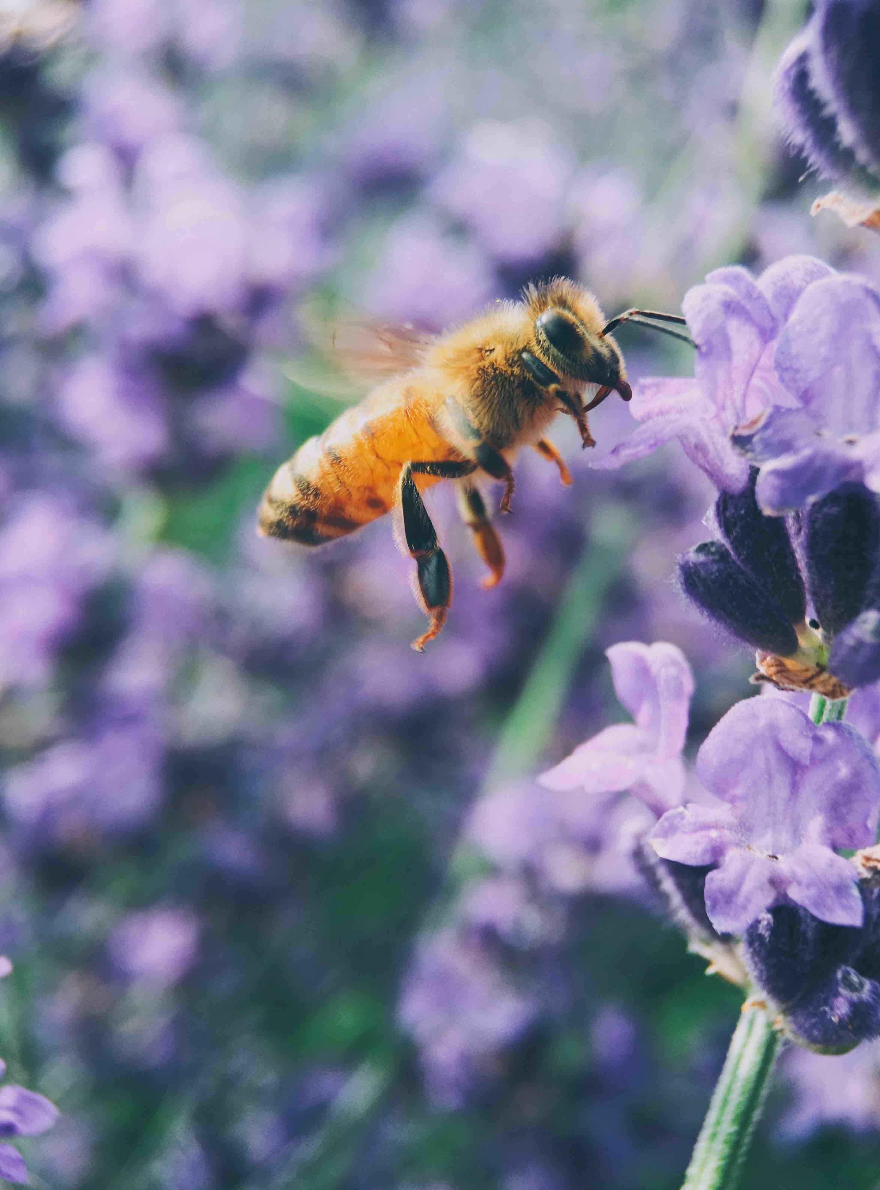 Die Allerbesten Freundschaftssprche Der Ganzen Welt 