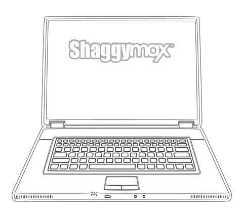 Shaggymax Blog | Laptop Adoption