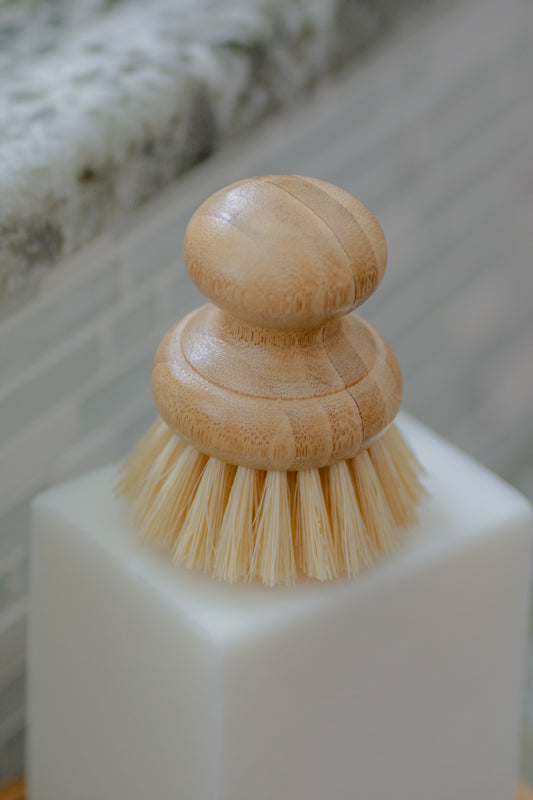 https://cdn.shopify.com/s/files/1/0195/4834/0286/products/CASAAGAVEDISHBRUSHES-2.jpg?v=1613183056&width=533