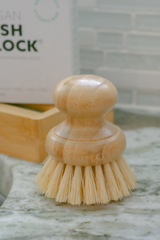 https://cdn.shopify.com/s/files/1/0195/4834/0286/products/CASAAGAVEDISHBRUSHES-7.jpg?v=1613183056&width=533