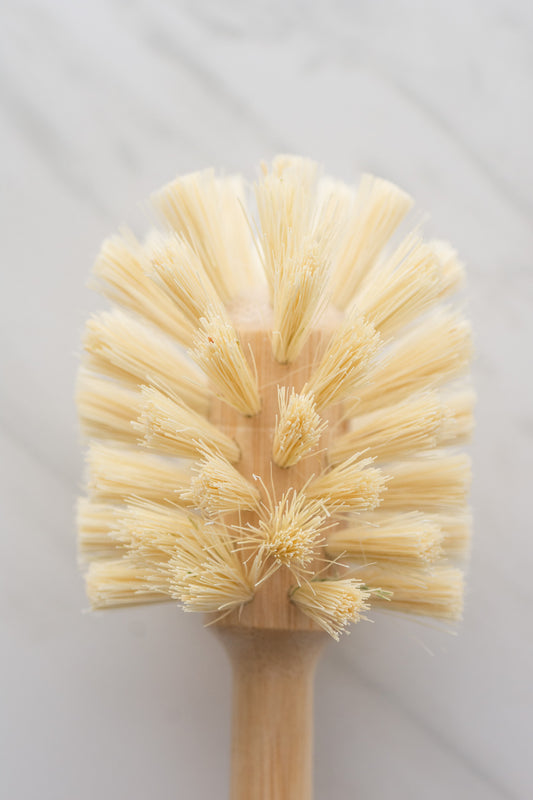 No Tox Life - Casa Agave™ Long Handle Dish Brush – Thatcher Buda