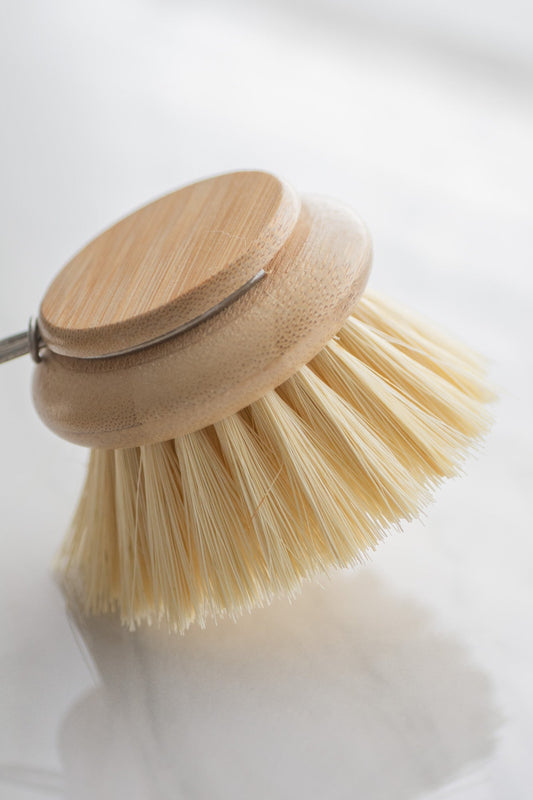 CASA AGAVE® Pot Scrubber Brush (Case of 12)