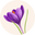 floreriavioleta.cl-logo