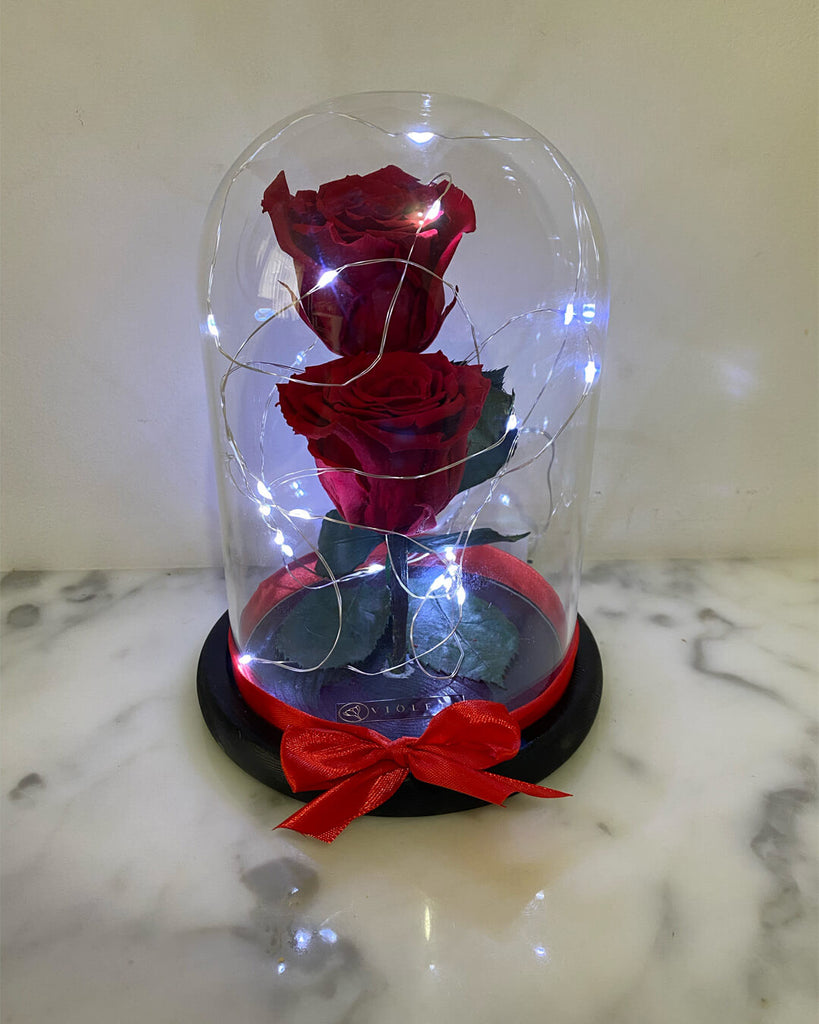 2 Rosas en cúpula Infinity – Florería Violeta