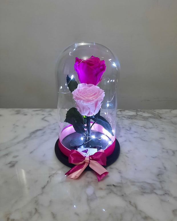 Flores preservadas – Florería Violeta