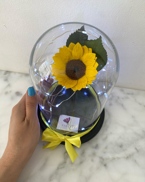 Girasol pequeño en cúpula Infinity – Florería Violeta