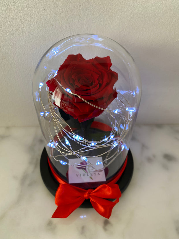 Rosa eterna en mini cúpula – Florería Violeta