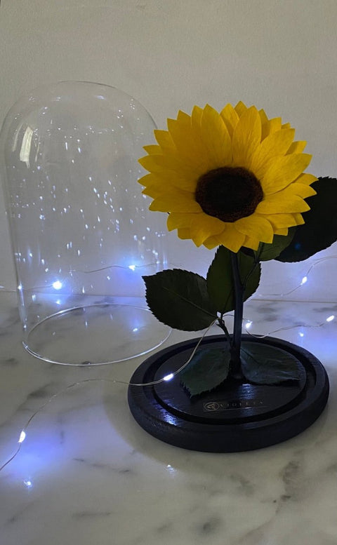 Girasol eterno en cúpula Luxury – Florería Violeta