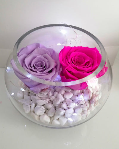 Rosa en cúpula Edición Especial – Florería Violeta