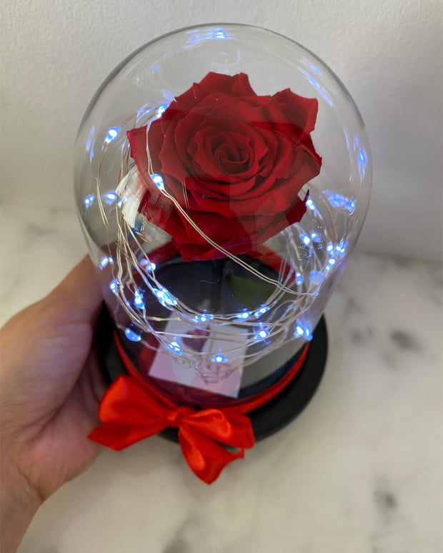 Rosa eterna en mini cúpula – Florería Violeta