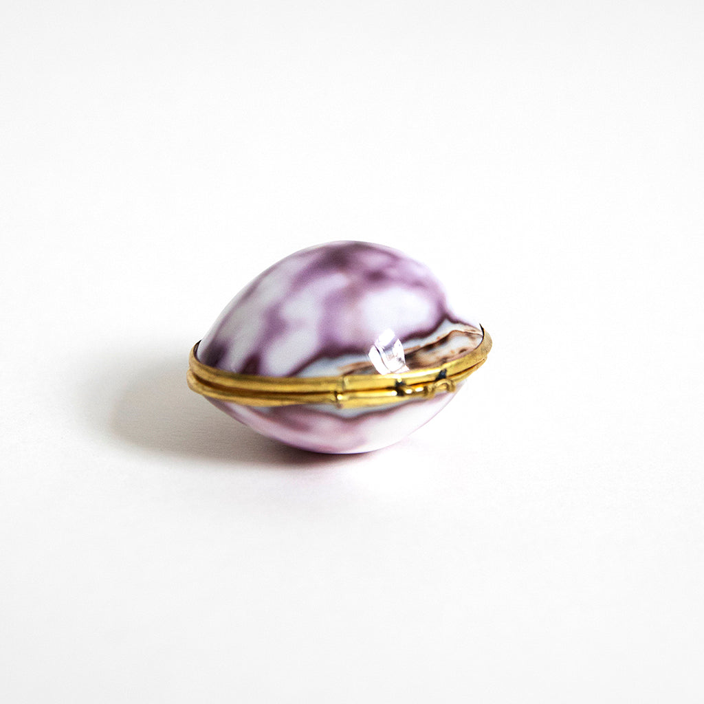 Purple Cowry Shell