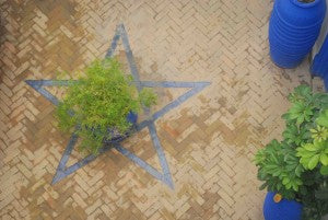 blue-star-in-courtyard-small