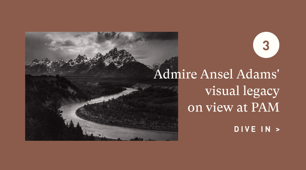 Ansel Adams on view at PAM