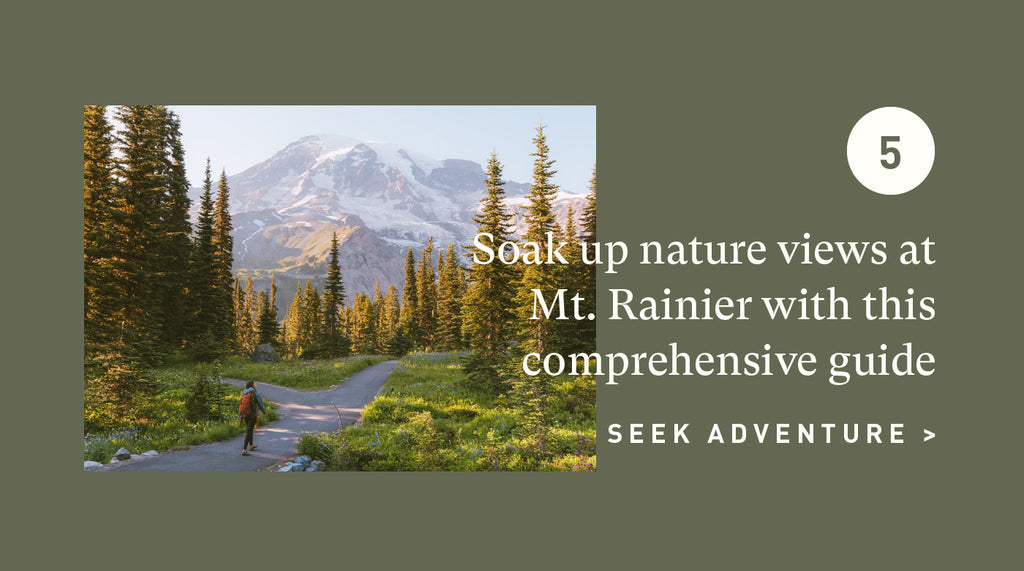 Explore Mt. Rainier