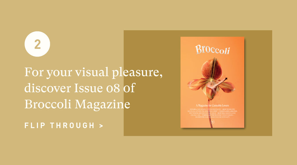 Read Broccoli Magazine's Issue 08