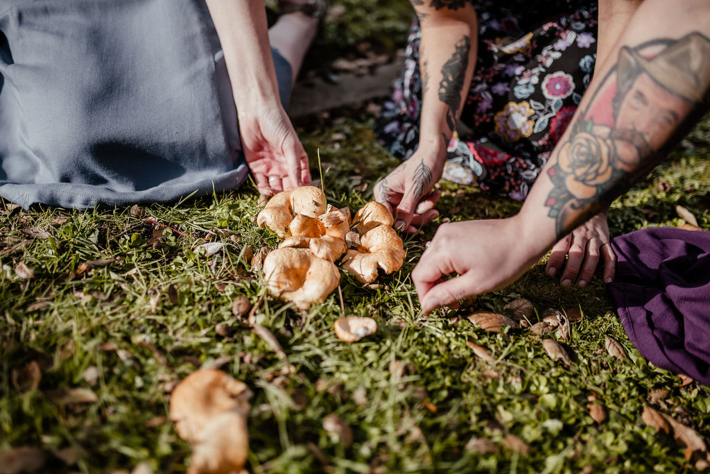 mushroom hunting in dresses 