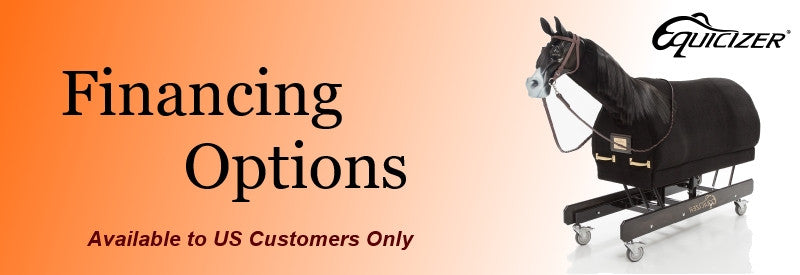 Mechanical horse riding simulator Equicizer