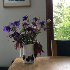aquilegia flowers in puffin jug by Sandra Vick