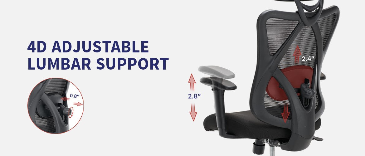 CLATINA Office Chair Ergonomic Rolling Computer Desk Chair with Lumbar –  FURNGO