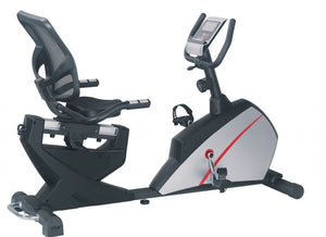 viva fitness recumbent bike