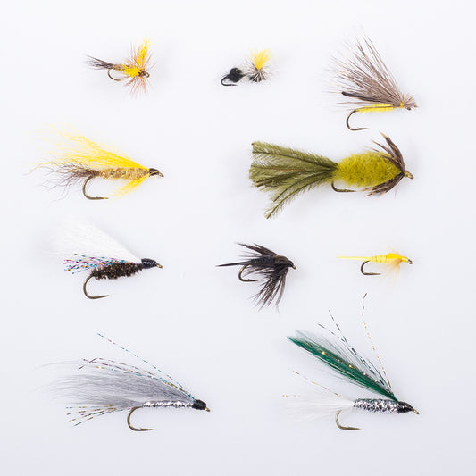 Virginia's Ten Best Trout Flies Assortment l Murray's Fly Shop