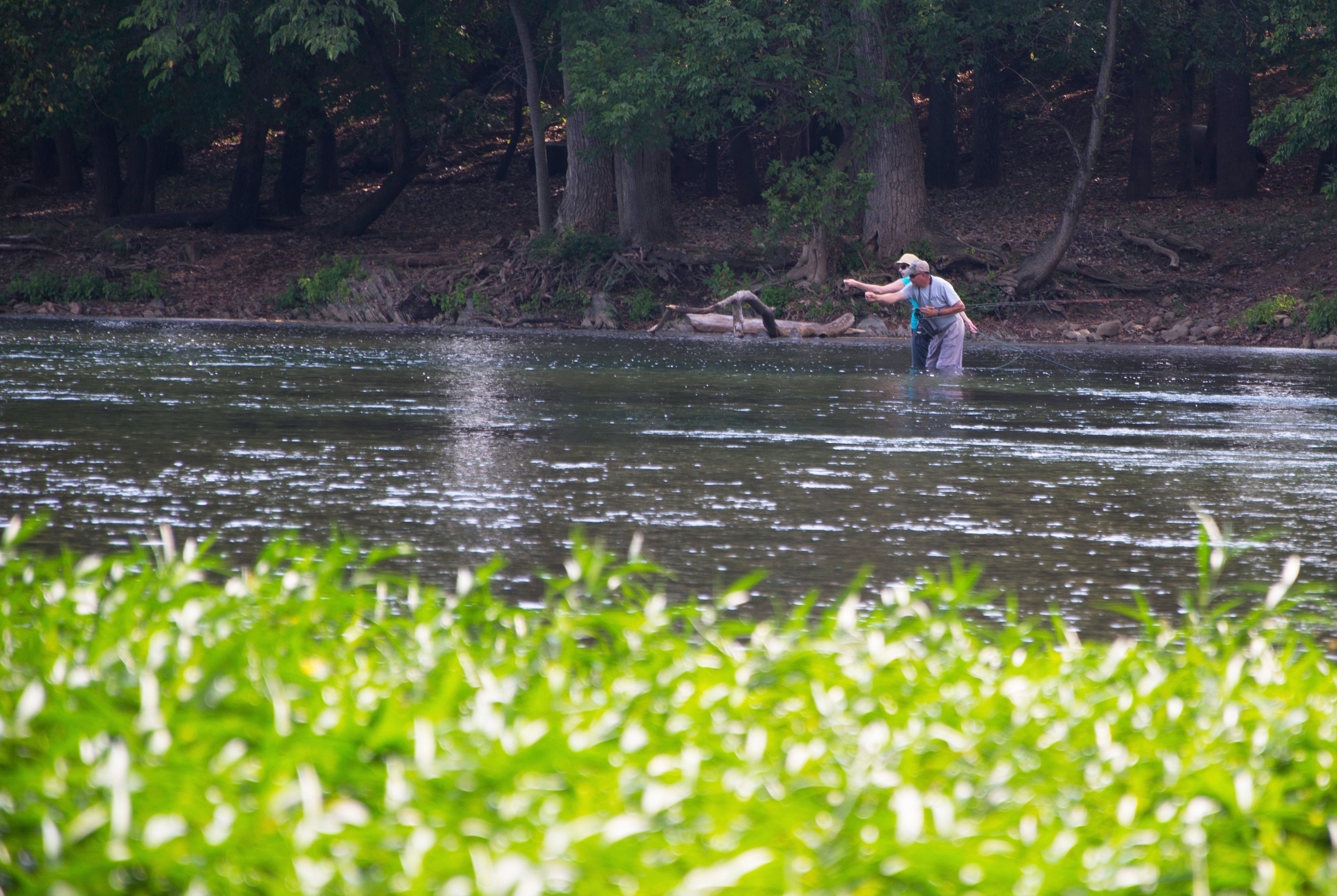 Person receiving instructions on fly fishing techniques for smallmouth bass in a river - Edinburg, Virginia - Murrays Fly Shop