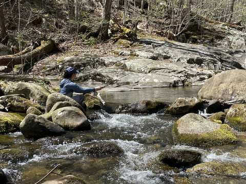 Woman fly fishing for native brook trout on a small mountain stream.  She is crouched down hiding behind rocks holding a fly rod.