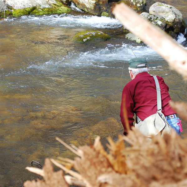 Mountain Trout Fly Fishing School in George Washington National Forest –  Murray's Fly Shop