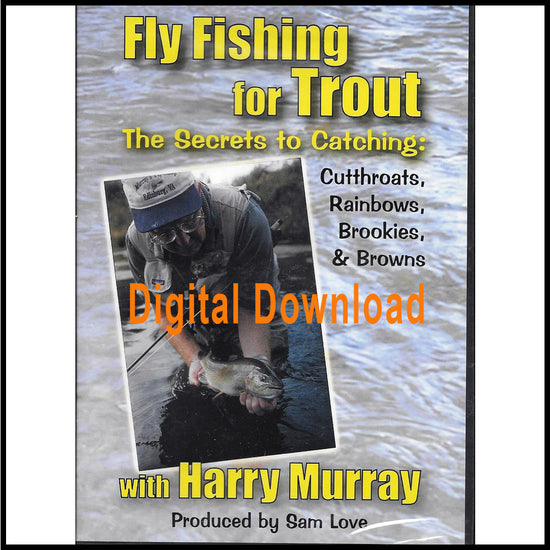 Fly Fishing for Trout with Harry Murray - The View From Harrys