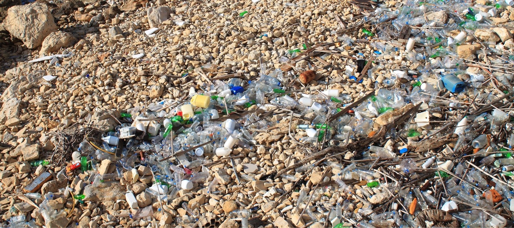 shore plastic pollution sustainable consumption 