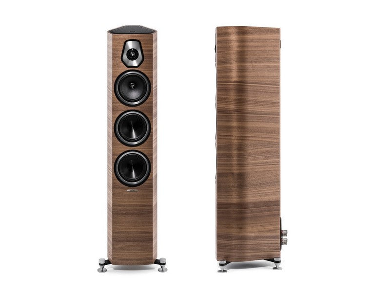 loudspeaker wood