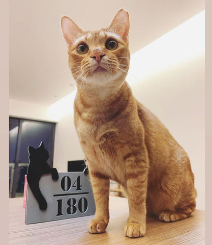 cat home unit number