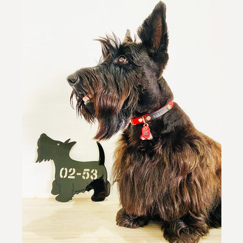 scottish terrier unit number