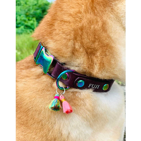 shiba inu dog collar