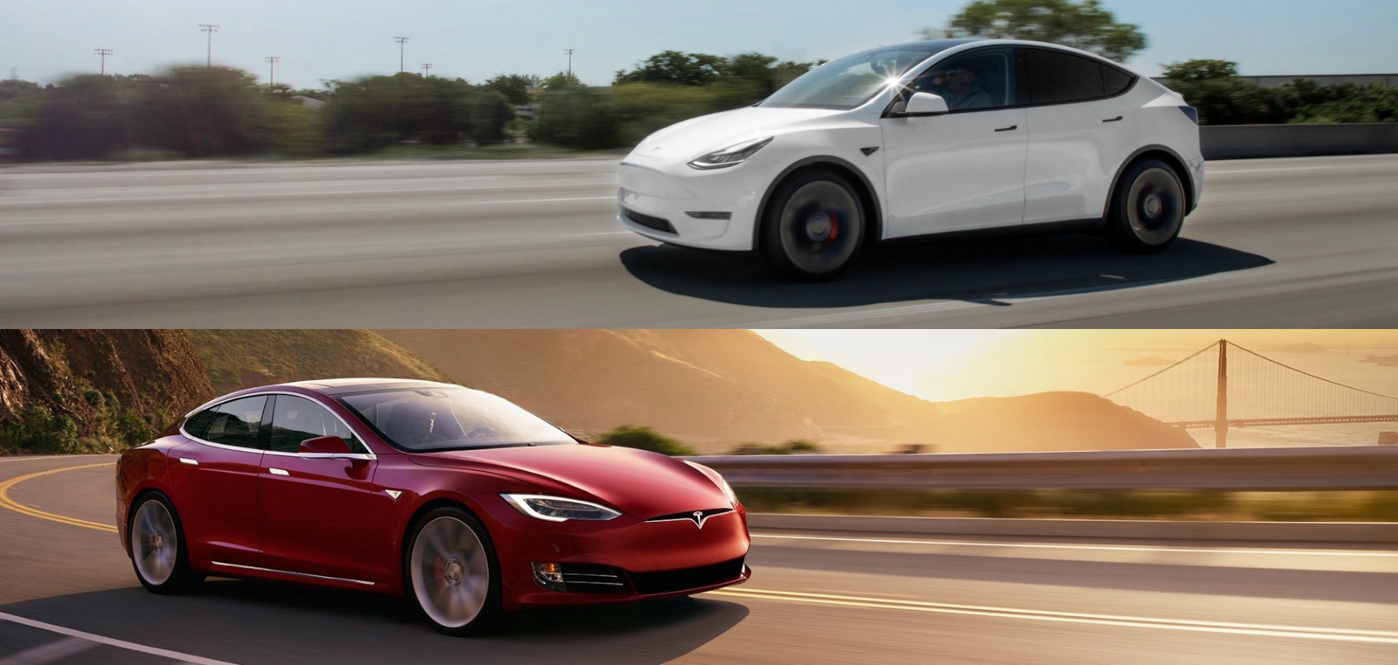 Tesla Model 3 vs Tesla Model Y