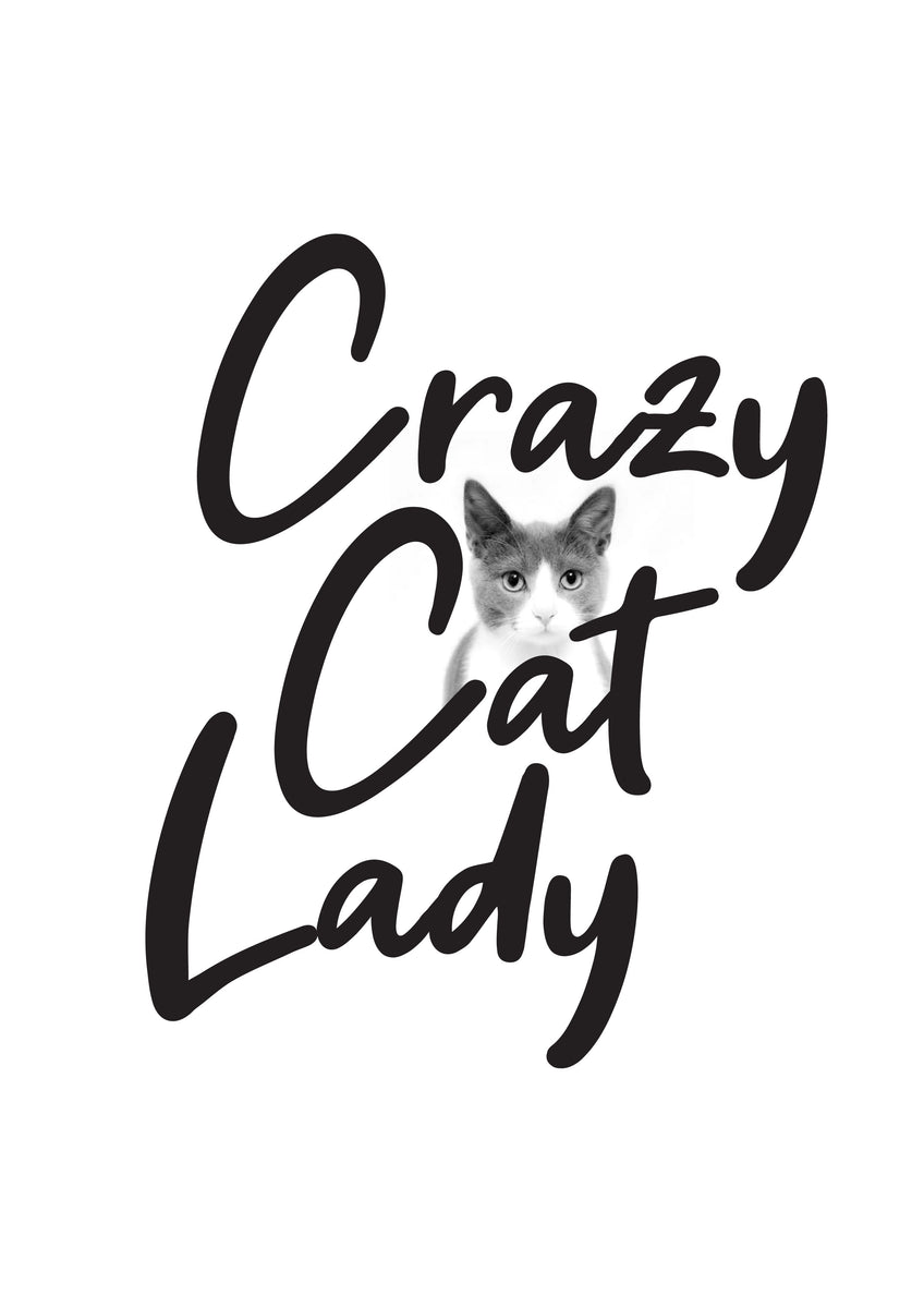 crazy cat lady online